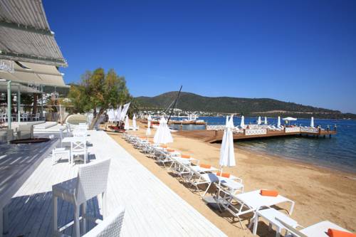 Torba Turkey Promo Code Booking.com