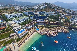 Bodrum Turkey Hotels