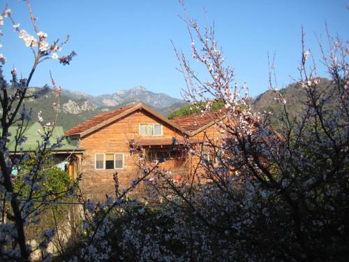 Cirali Turkey Hotel