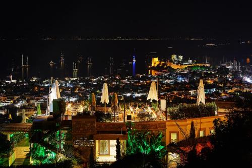Bodrum Turkey Hotels