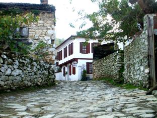 Selcuk Turkey Hotels