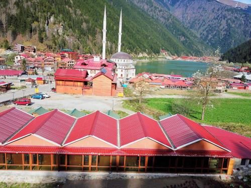 Uzungol Turkey Hotels