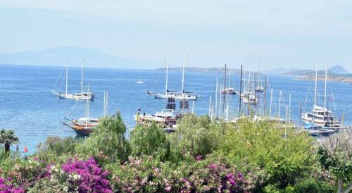Muğla Turkey Promo Code Booking.com
