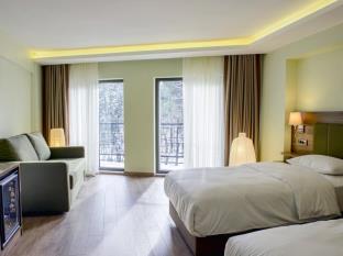 Istanbul Turkey Hotels
