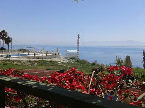 Adana Turkey Hotel