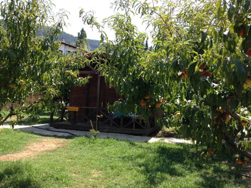 Selcuk (Izmir) Turkey Hotel